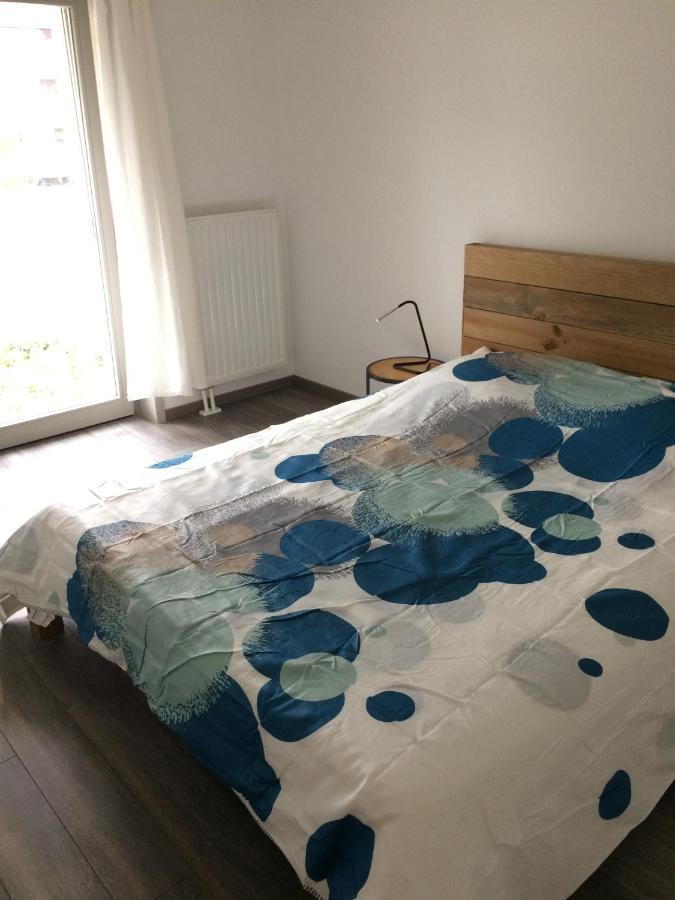 F2 Cote Ugc Climatise Plein Centre Parking Gratuit Apartment Strasbourg Bagian luar foto